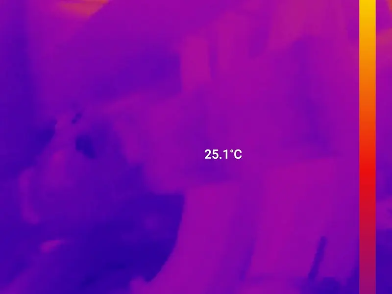 Termografia di un quadro